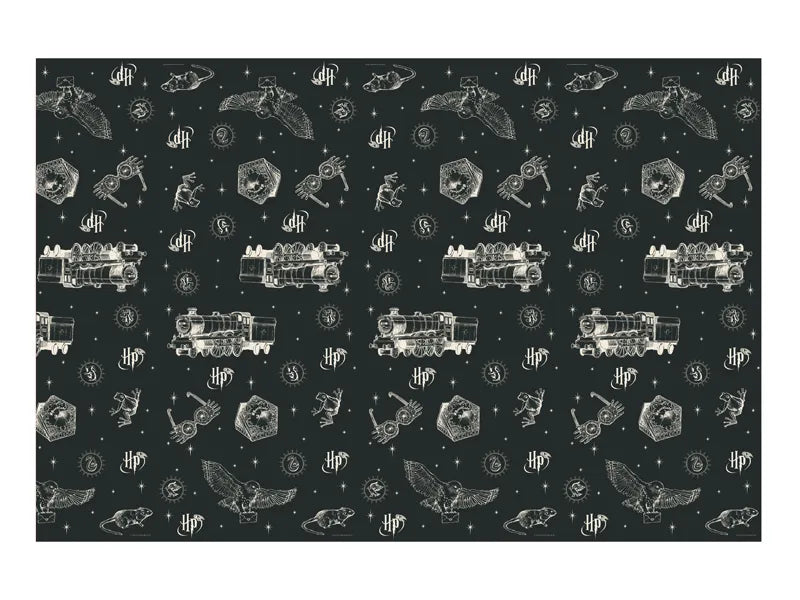 Feestbazaar Tafelkleed Harry Potter Magische Illustraties (180x120cm)