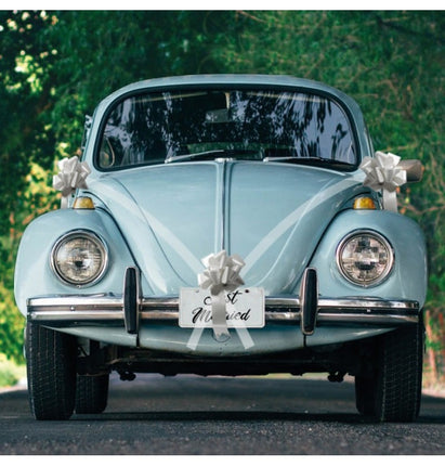 Feestbazaar Trouwauto Versiering Bruiloft 5-Delig Zilver