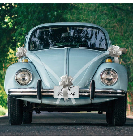 Feestbazaar Trouwauto Versiering Bruiloft 5-Delig Zilver