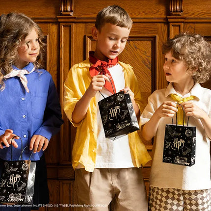 Feestbazaar Uitdeeltasjes Harry Potter Magische Illustraties