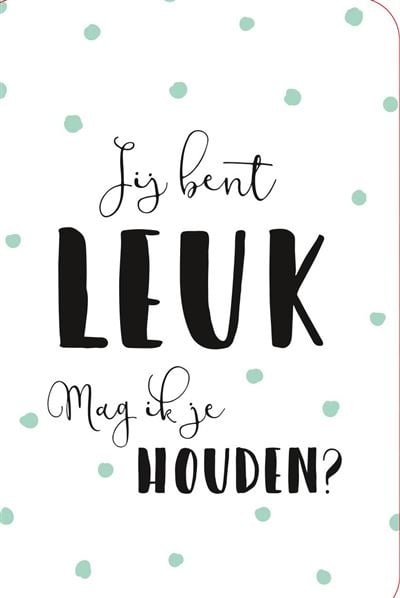 Feestbazaar Valentijnskaart 'Jij bent Leuk, Mag ik je houden'