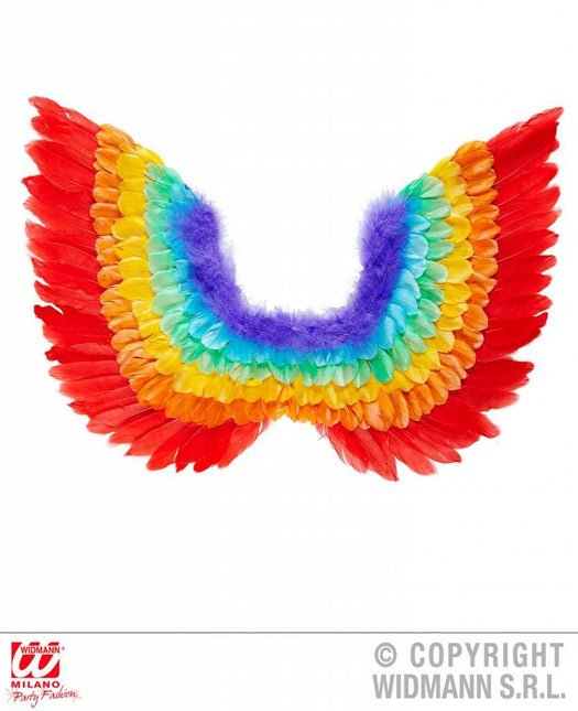 Feestbazaar Veren vleugels regenboog 60cm