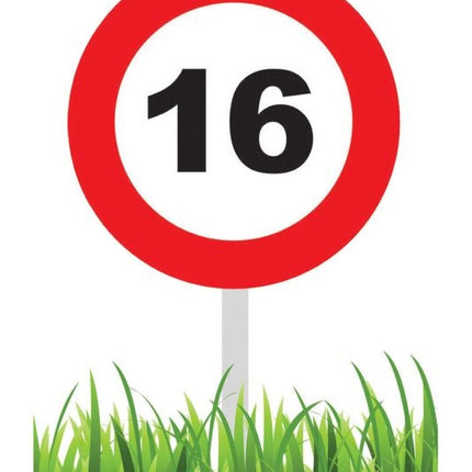 Feestbazaar Verkeersbord 16 Jaar Tuin 36cm
