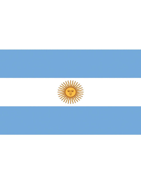 Feestbazaar Vlag Argentinië - 90x150 cm