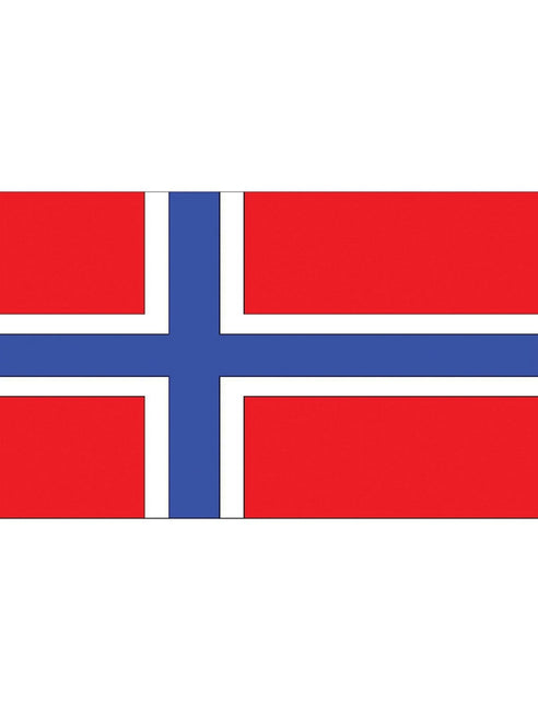 Feestbazaar Vlag Noorwegen - 90x150 cm