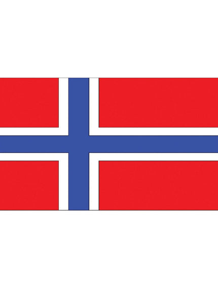 Feestbazaar Vlag Noorwegen - 90x150 cm
