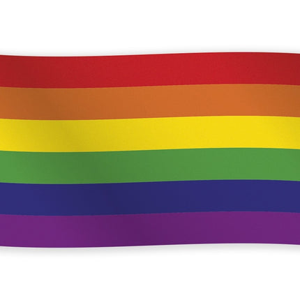 Feestbazaar Vlag Regenboog 90 x 150 cm