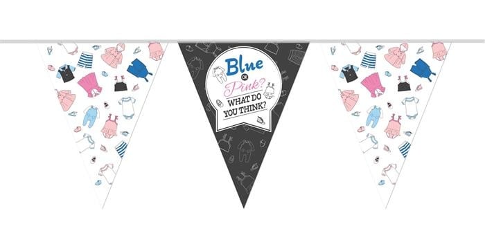 Feestbazaar Vlaggenlijn Blue Or Pink Gender Reveal