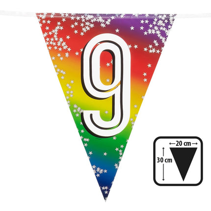 Feestbazaar Vlaggenlijn Cijfer 9 Regenboog Met Sterren (6m)