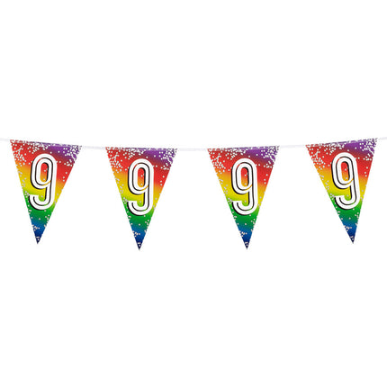 Feestbazaar Vlaggenlijn Cijfer 9 Regenboog Met Sterren (6m)