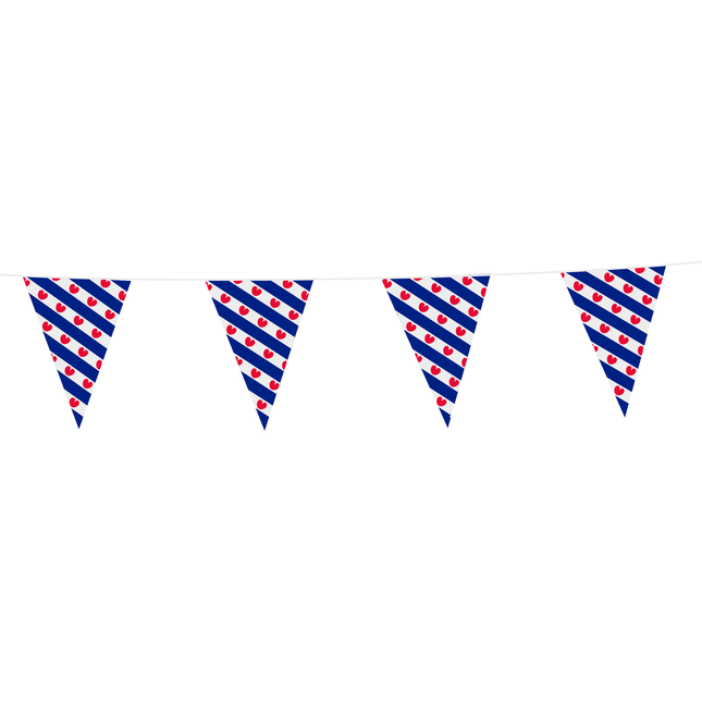 Feestbazaar Vlaggenlijn Friesland (10m)