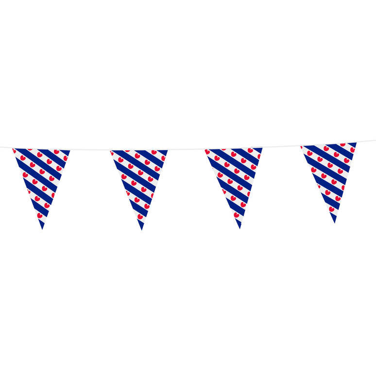 Feestbazaar Vlaggenlijn Friesland (10m)