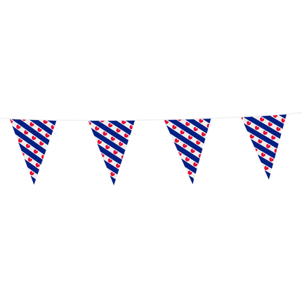 Feestbazaar Vlaggenlijn Friesland (10m)