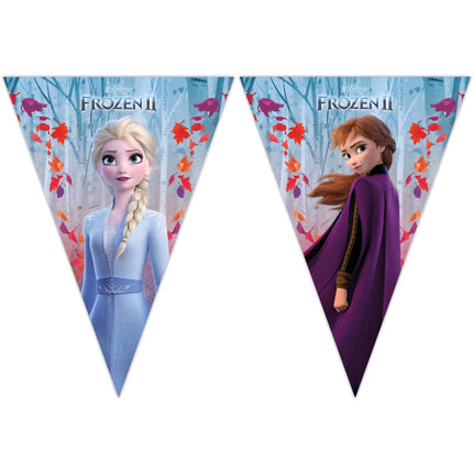 Feestbazaar Vlaggenlijn Frozen 2 - 2 meter