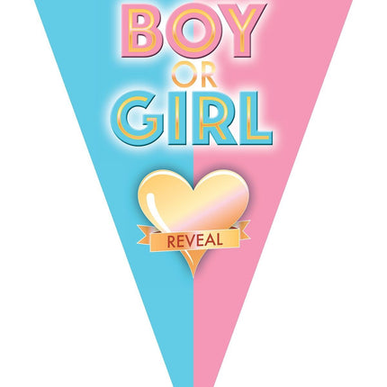 Feestbazaar Vlaggenlijn Gender Reveal 5m