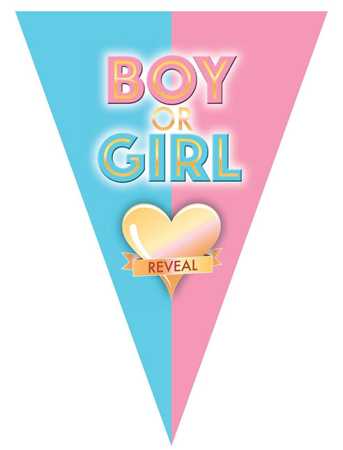 Feestbazaar Vlaggenlijn Gender Reveal 5m