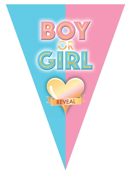 Feestbazaar Vlaggenlijn Gender Reveal 5m