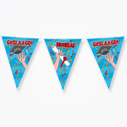 Feestbazaar Vlaggenlijn Geslaagd Cartoon (10m)