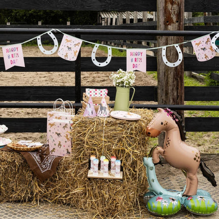 Feestbazaar Vlaggenlijn Happy Horses (6m)