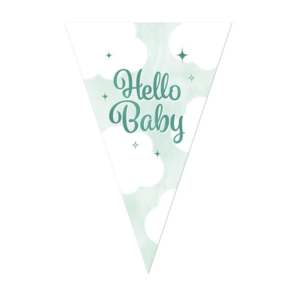 Feestbazaar Vlaggenlijn 'Hello baby' (10m)