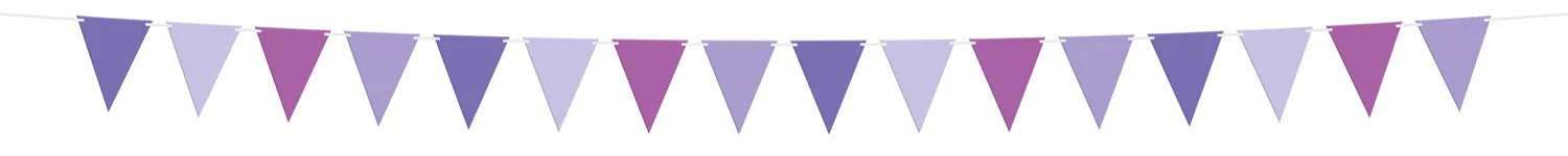 Feestbazaar Vlaggenlijn Posh Purple (6m)