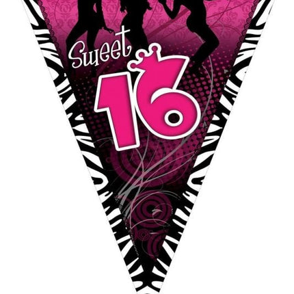 Feestbazaar Vlaggenlijn Sweet 16 Roze - 5m