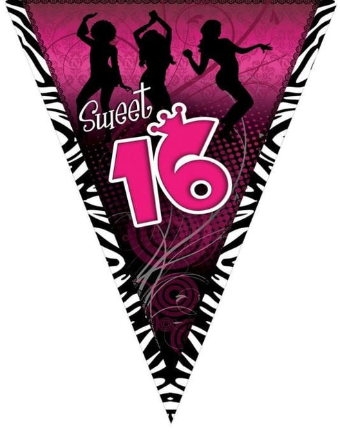 Feestbazaar Vlaggenlijn Sweet 16 Roze - 5m