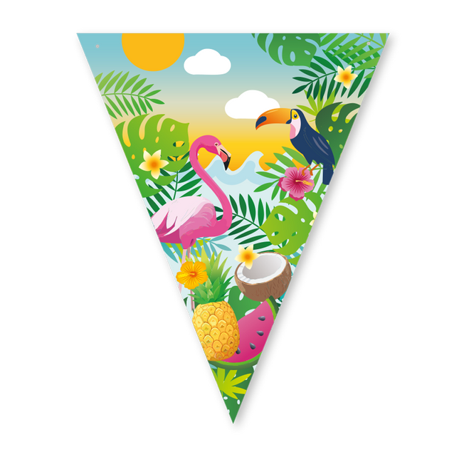 Feestbazaar Vlaggenlijn Tropical Aloha (6m)