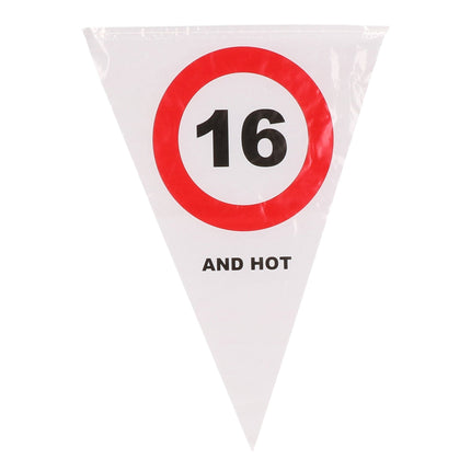 Feestbazaar Vlaggenlijn Verkeersbord 16 Jaar 'and hot'  (5m)