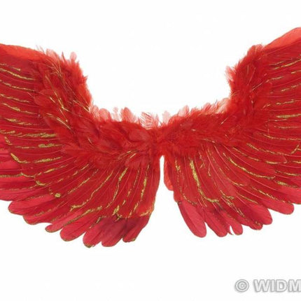 Feestbazaar Vleugels rood met zilver glitter 86x42cm
