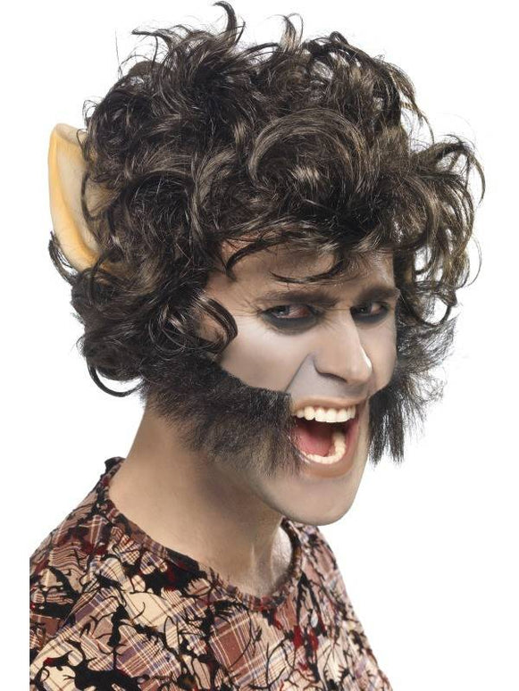 Feestbazaar Weerwolf pruik