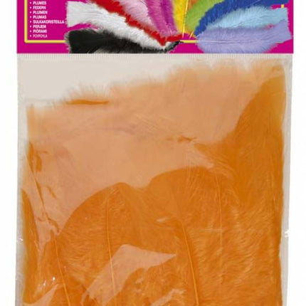 Feestbazaar Zakje met 50 veertjes oranje