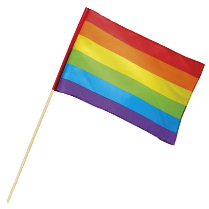 Feestbazaar Zwaaivlag regenboog 76cm