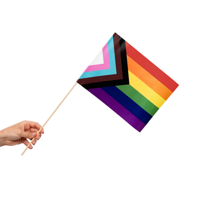 Feestbazaar Zwaaivlaggetjes Pride Progress (10st)