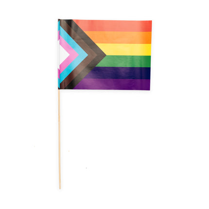 Feestbazaar Zwaaivlaggetjes Pride Progress (10st)