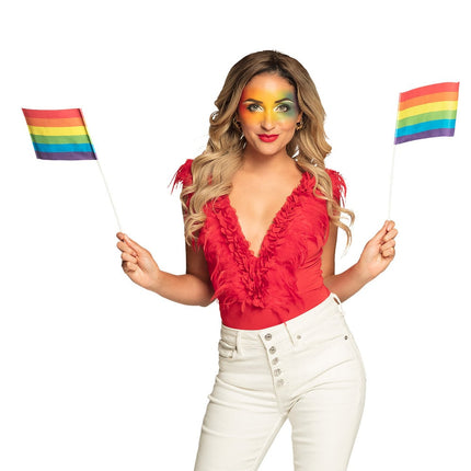 Feestbazaar Zwaaivlaggetjes Regenboog (6st)
