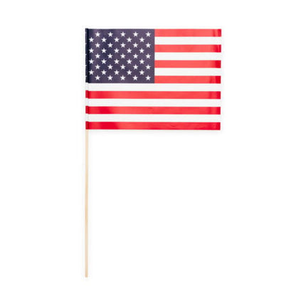 Feestbazaar Zwaaivlaggetjes USA 20x30cm (10st)